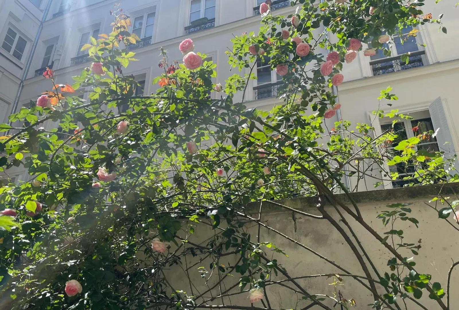 아파트 Chic Neighborhood Charming Courtyard Studio 7Th 파리